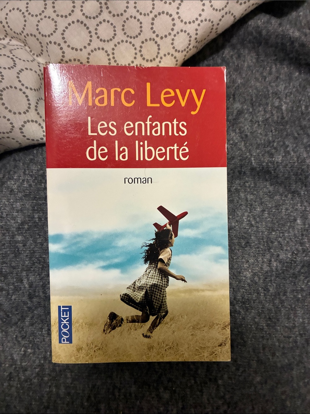 Book Les enfants de la liberté